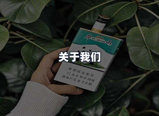 关于我们